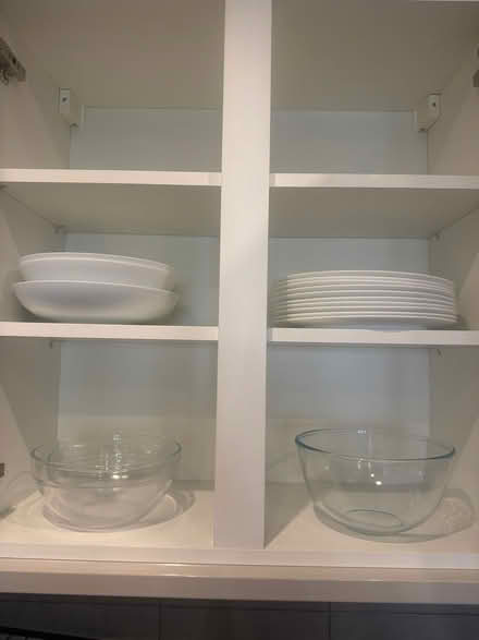 Photo of free Plates & bowls (Hackney Central E8) #1