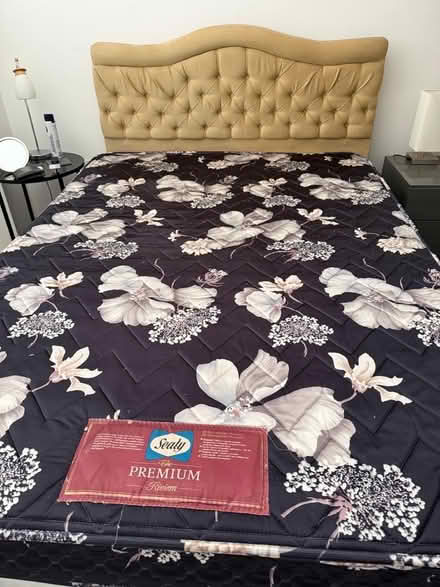 Photo of free Double bed (South Lambeth SW8) #1