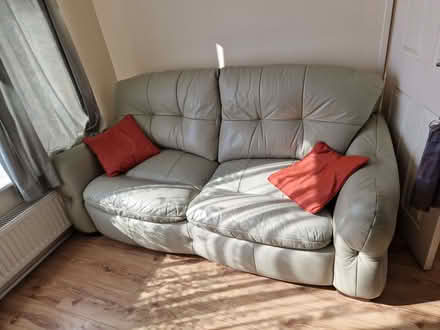 Photo of free Mint green leather sofa and chairs (Polegate BN26) #1