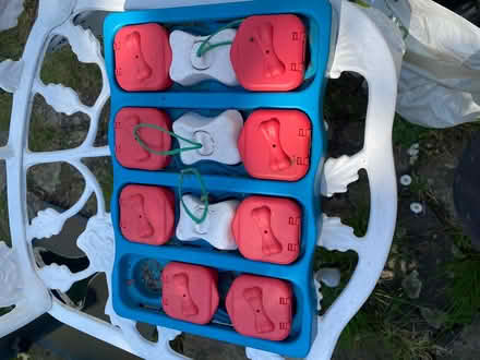 Photo of free Dog brain game (Heath and Reach LU7) #1