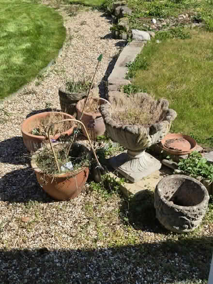 Photo of free Plant pots (Tewin) #1