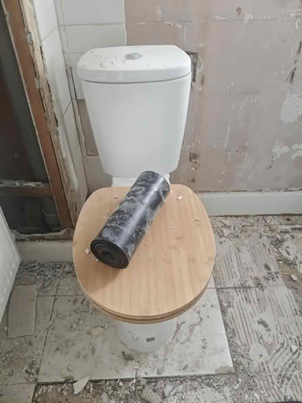Photo of free 2 year old toilet (Grove Park SE12) #1