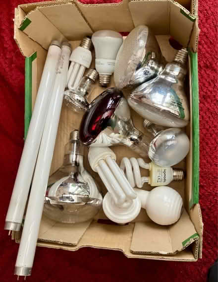 Photo of free Various reptile lamps (Ifton Heath SY11) #1