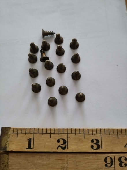 Photo of free 18 short, stubby cross-head screws (Henleaze Ward BS9) #3