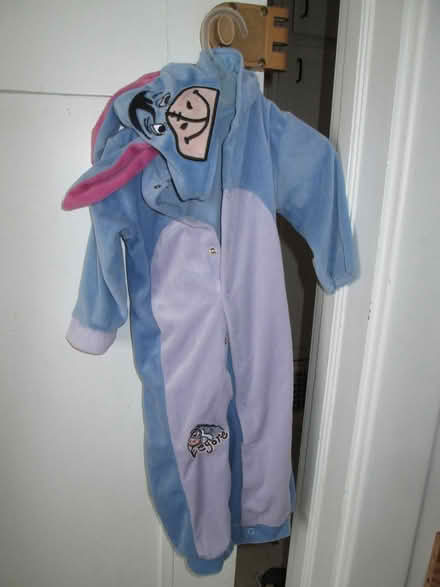 Photo of free Winnie the Pooh one piece w/hood (Old Ottawa South) #1