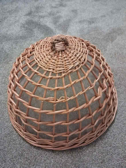 Photo of free Cake cover (Cradley WR13) #1