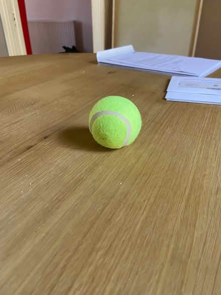 Photo of free Tennis Ball (SE153BS) #1