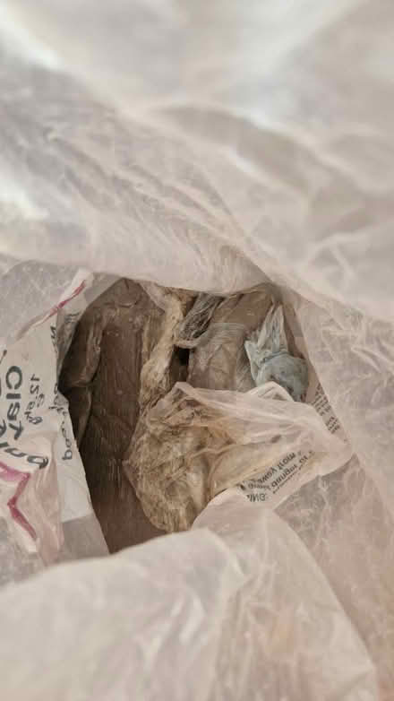 Photo of free clay and pottery kit (Luton Wigmore) #3