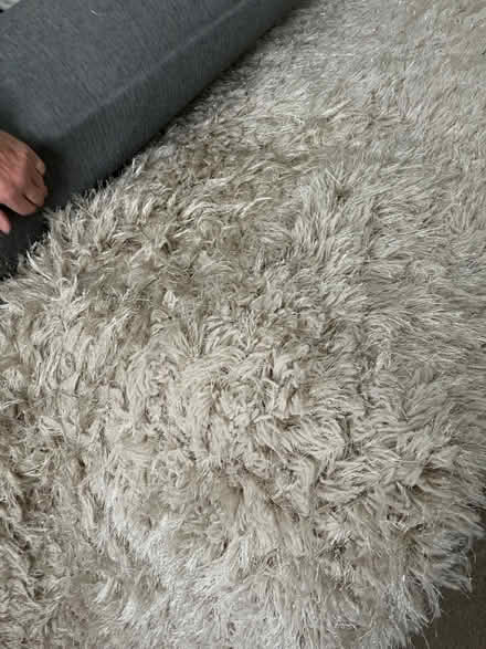 Photo of free Large long pile rug. 2m x 2.9 m (Fulwell Sunderland SR6) #1