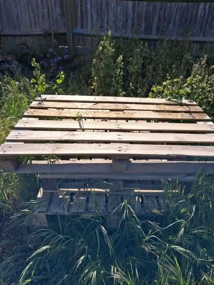 Photo of free 2 x Pallets (Otford TN14) #1