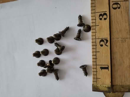 Photo of free 18 short, stubby cross-head screws (Henleaze Ward BS9) #2