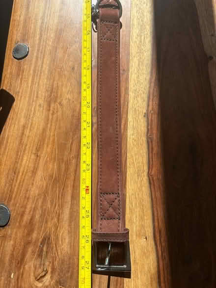 Photo of free Large leather dog collar (NE34 7hz) #1