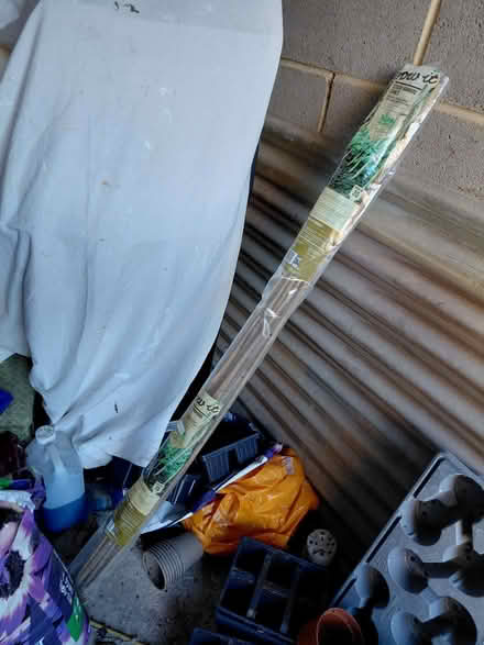 Photo of free Bamboo canes (Esh Winning DH7) #1