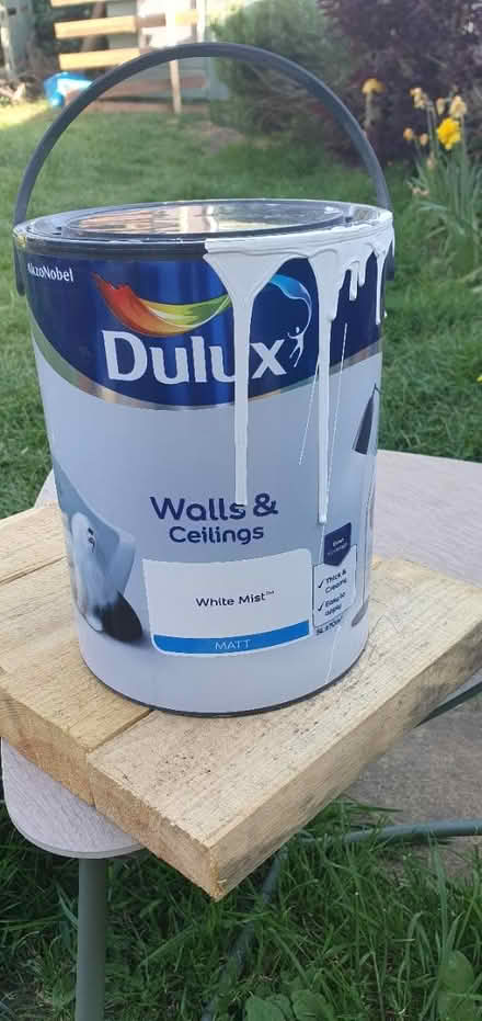 Photo of free paint (South Norwood) #1