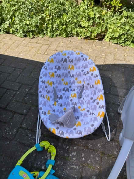 Photo of free Baby bouncers and door bouncer (Oxford OX33) #4