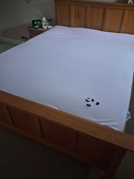 Photo of free Panda king size mattress topper (Harrietsham ME17) #2