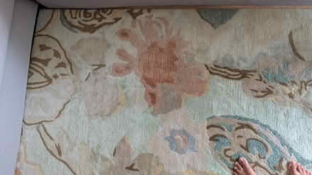 Photo of free 5x8 Wool Area Rug (Cupertino/West San Jose) #4
