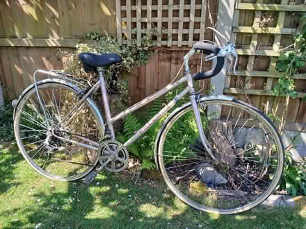 Photo of free Ladies bike (CT5) #1