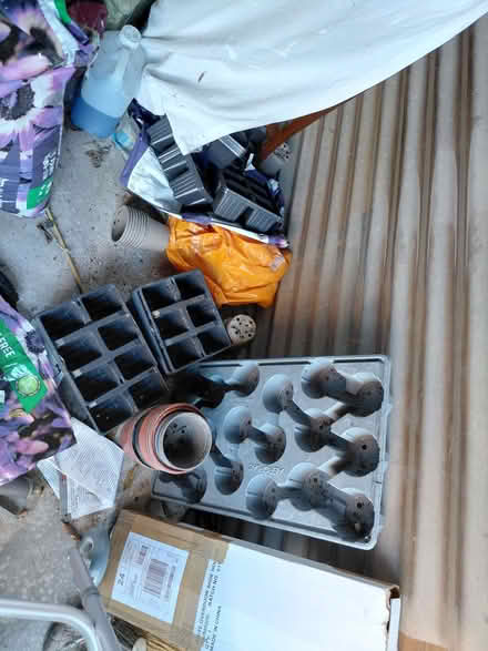 Photo of free Plant pots and trays (Esh Winning DH7) #1