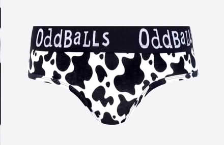 Photo of free Oddballs lady's pants size 16 (Shepshed LE12) #1