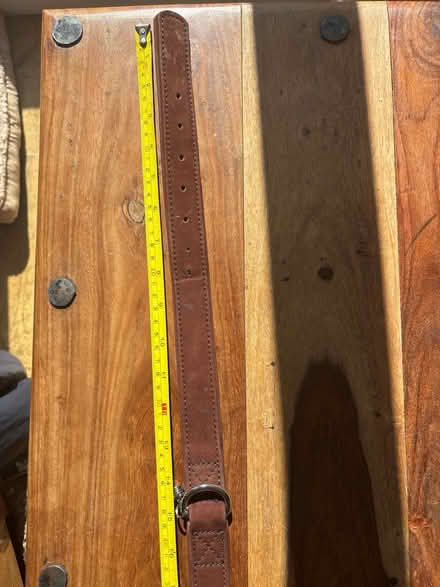 Photo of free Large leather dog collar (NE34 7hz) #2
