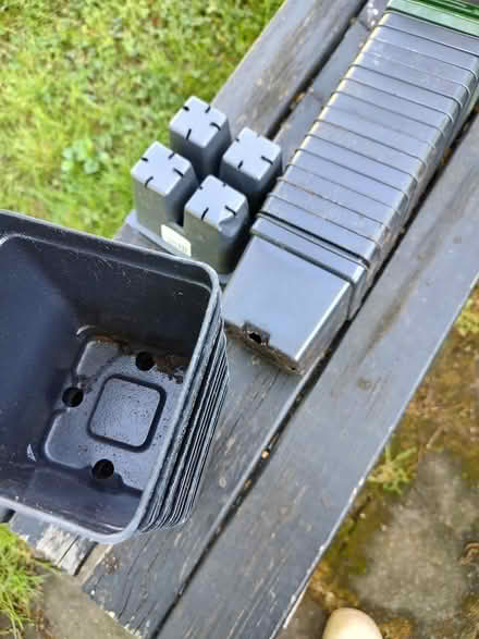 Photo of free Plant pots ~ 30 (Odenton) #1