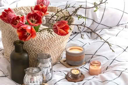 Photo of free Home Decor items / bric-a-brac (Edinburgh EH17) #1