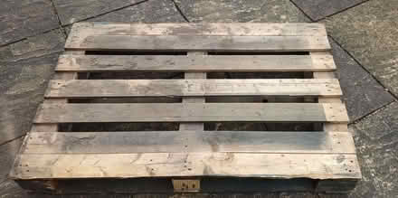Photo of free Pallet (Ludlow SY8) #1