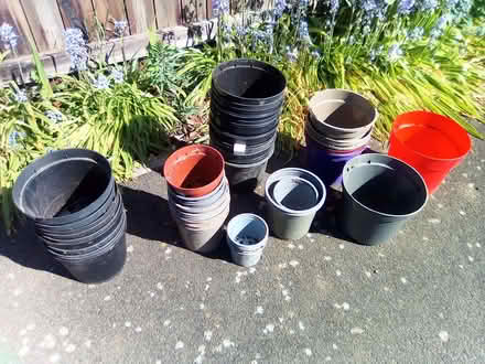 Photo of free Plastic plant pots (Thirsk YO7) #1