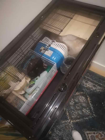 Photo of free Small animal setup (Isle of Dogs E14) #1
