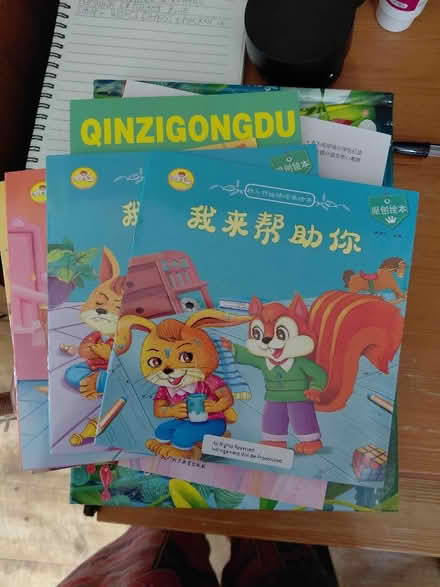 Photo of free Children's books in Chinese (Rowner PO13) #1