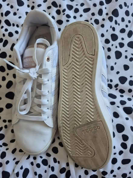 Photo of free Addidas trainers (Chichester) #1