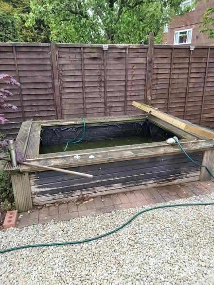 Photo of free Pond Fish (B68) #1