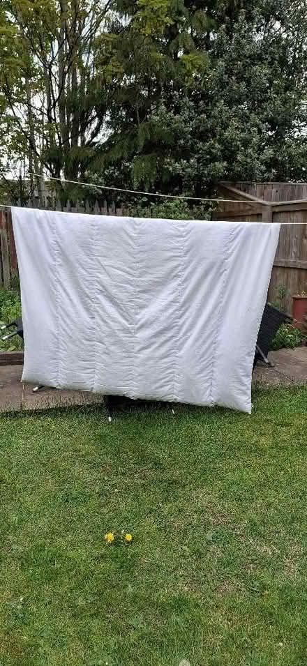 Photo of free Single feather duvet (Harrogate HG1) #1