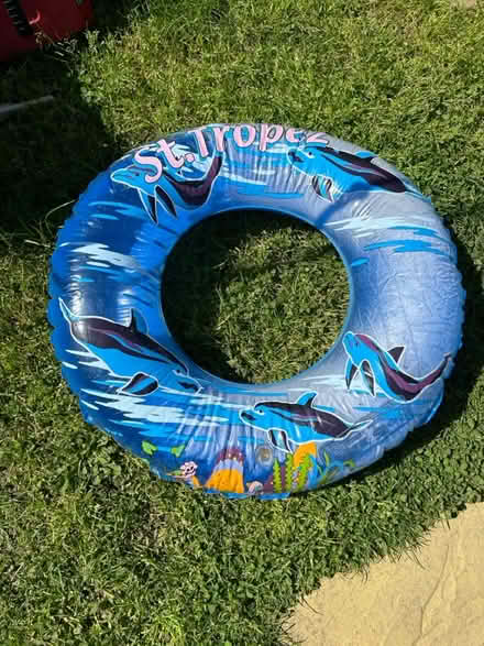 Photo of free Inflatable pool ring (Jennetts park RG12) #3