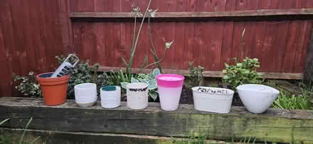 Photo of free Selection of flowepots (Steventon OX13) #1
