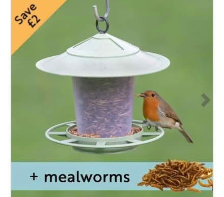 Photo of Mealworm bird feeder (St Leonards TN38) #1