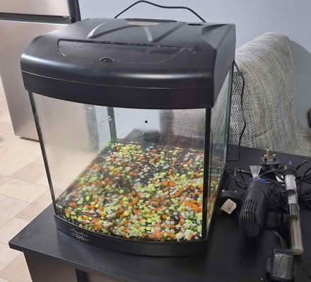 Photo of free Small fish tank (Trowbridge) #1