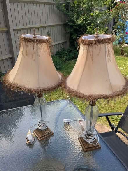 Photo of free Table lamps. Gold trim x2 (Bishops Tachbrook CV33) #1