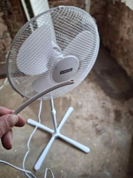 Photo of free Standing fan - missing plug (Congleton CW12) #1