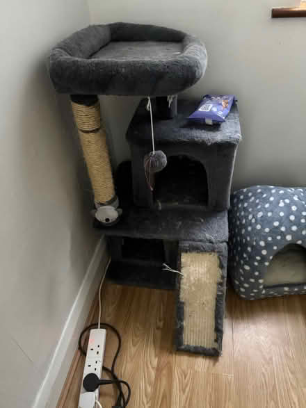 Photo of free Cat house (Worcester Park) #2