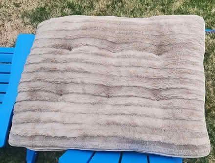 Photo of free Doggie Bed (08757) #1
