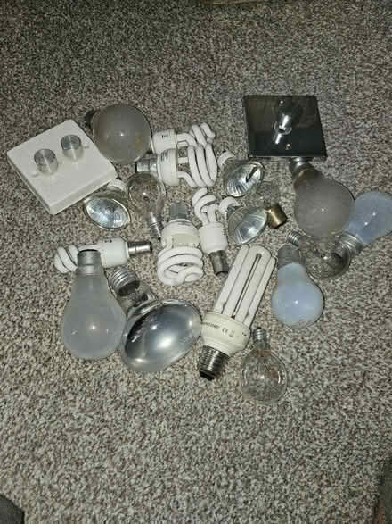 Photo of free Assortment of light bulbs (Maidenhead SL6) #1