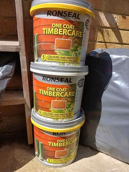 Photo of free Timber Paint (CT5) #1