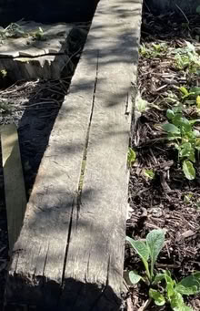 Photo of free Old railway sleepers (Rochester ME1) #1