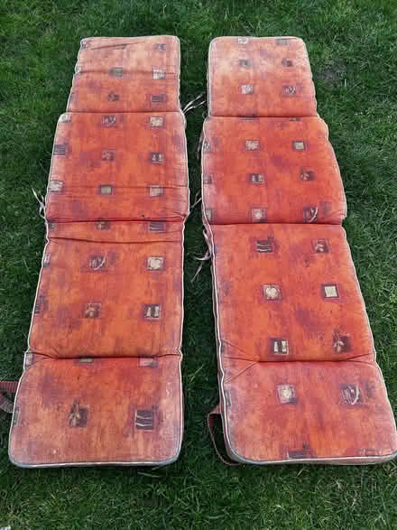 Photo of free Garden chair cushions (Heybridge CM9) #1