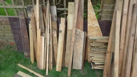 Photo of free Timber (Weybridge KT13) #3