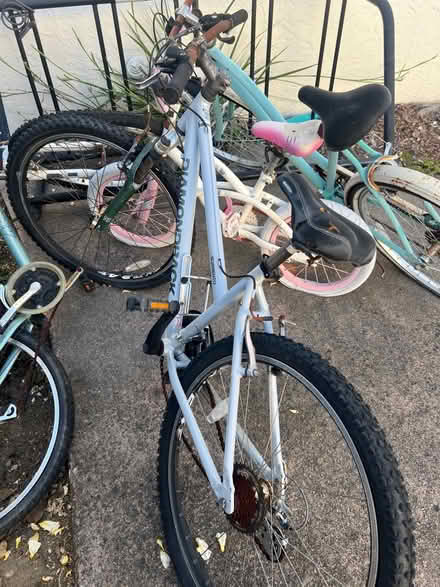Photo of free 4 old bikes (Homestead and Hollenbeck) #3