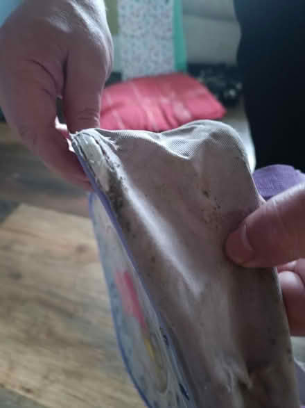 Photo of free Little girl's backpack (Norton Lees, S8) #2