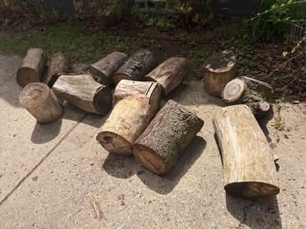 Photo of free Firewood logs (Oak Park) #1